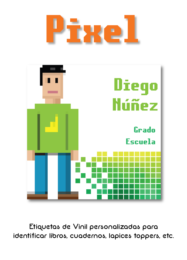 Escuela Vinil Pixel